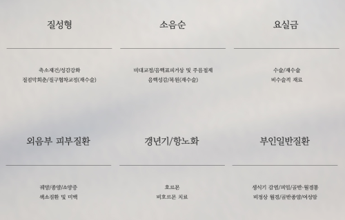 1. 질성형
축소재건 / 성감강화 / 질점막회춘 / 질구협착교정 (재수술)

2. 소음순
비대교정 / 음핵표피거상 및 주름절제 / 음핵성감/복원(재수술)


3. 요실금
수술 / 재수술 /비수술적 치료

4. 외음부 피부질환
궤양/종양/소양증/색소질환 및 미백

5. 갱년기 / 항노화
호르몬 /비호르몬 치료

6. 부인일반질환
생식기 감염 /피염/골반월경통/비정상월경/골반종양/여성암