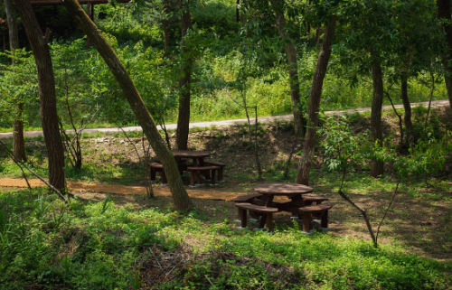 대전 치유의 숲